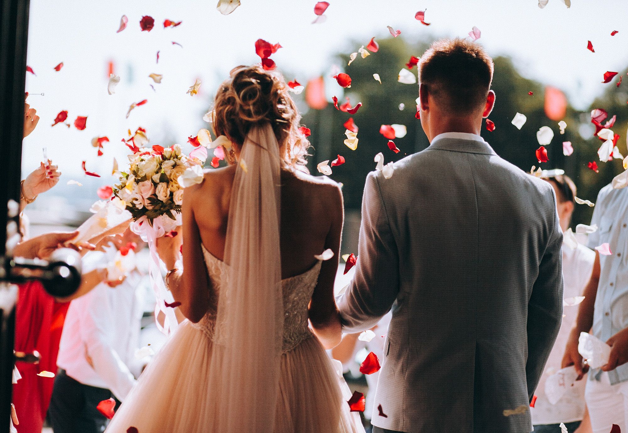 young couple in love.Wedding photo.Rose petals over a couple in love.Wedding ceremony with flowers