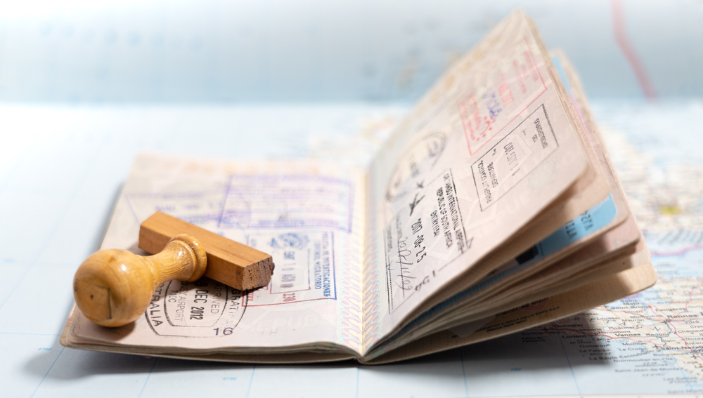 visa passport pages